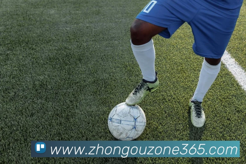 多媒体互动体验